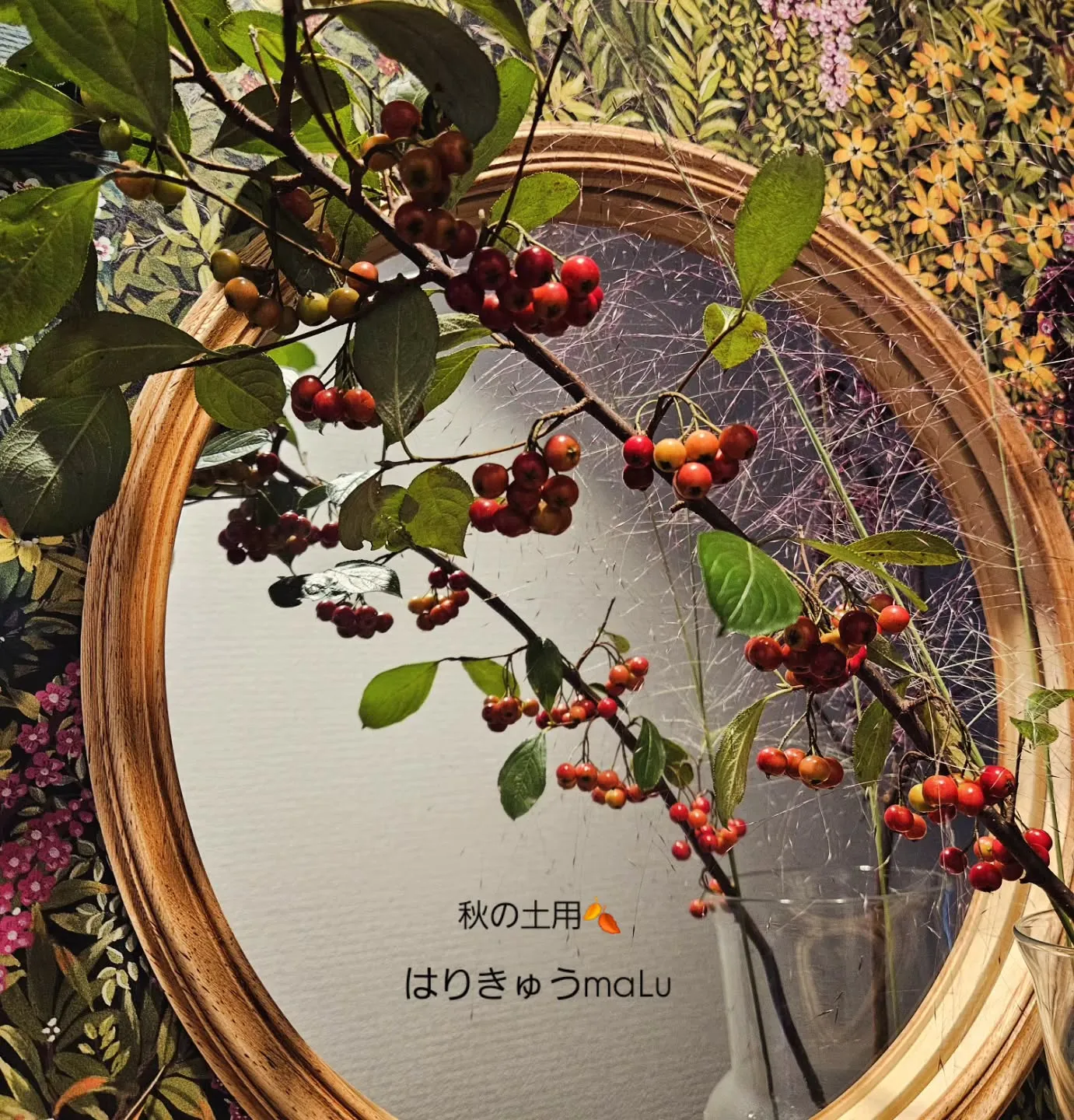 【秋の土用🍂】