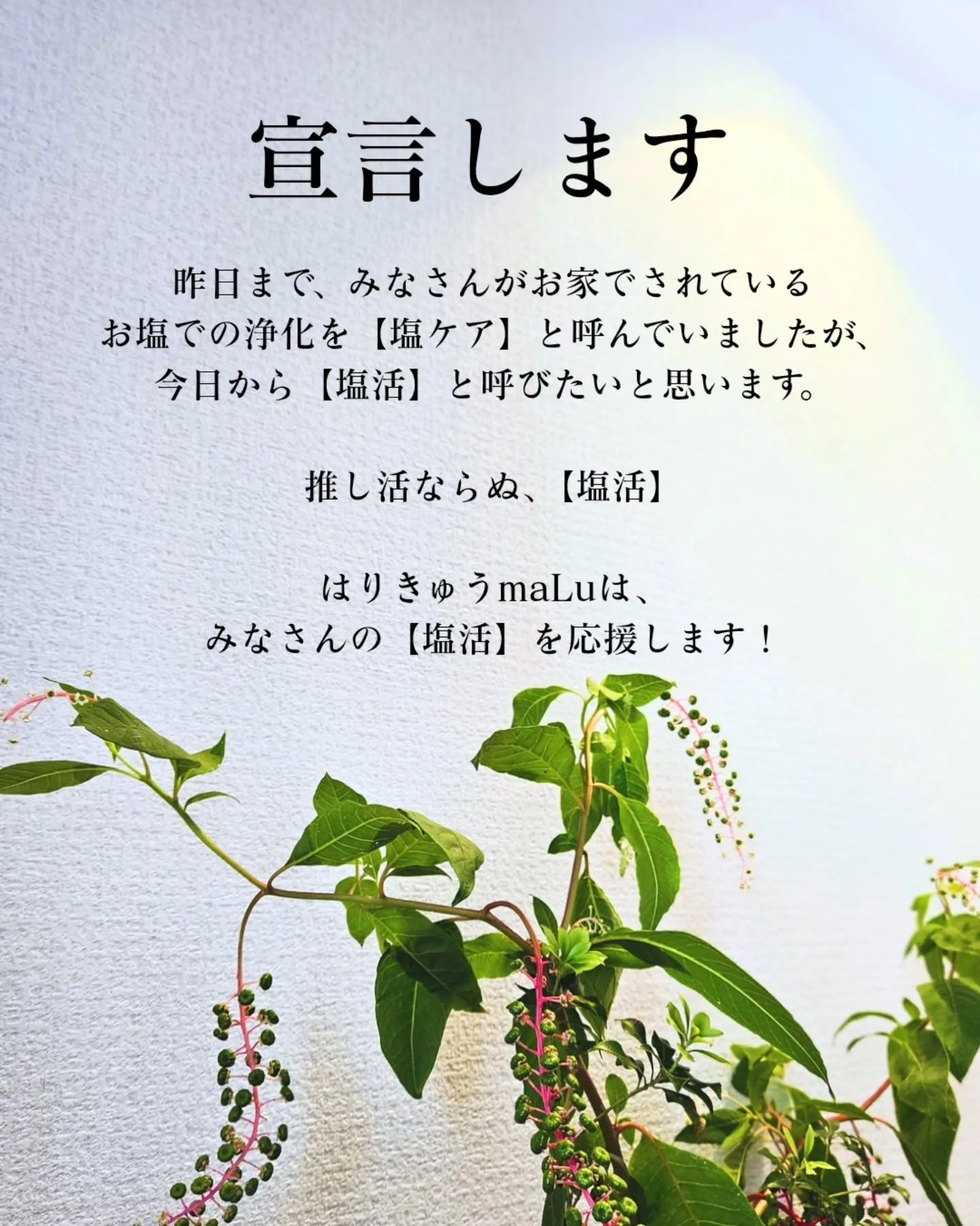 【🎊塩活宣言🧂】最近、祓え塩コースが出来てから、日常的にお塩...