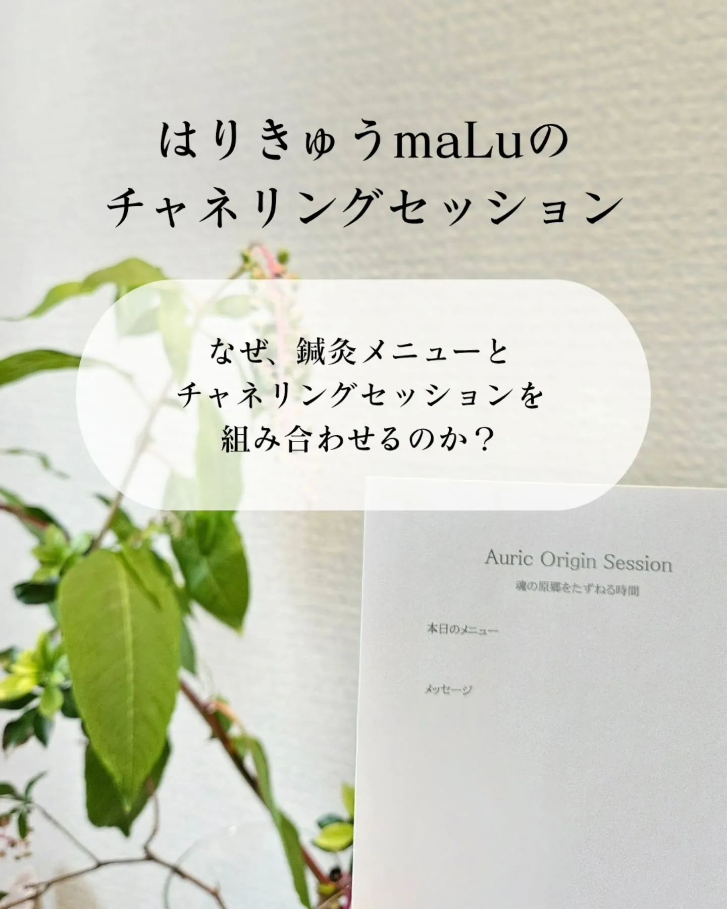 【鍼灸×チャネリングセッションの魅力】