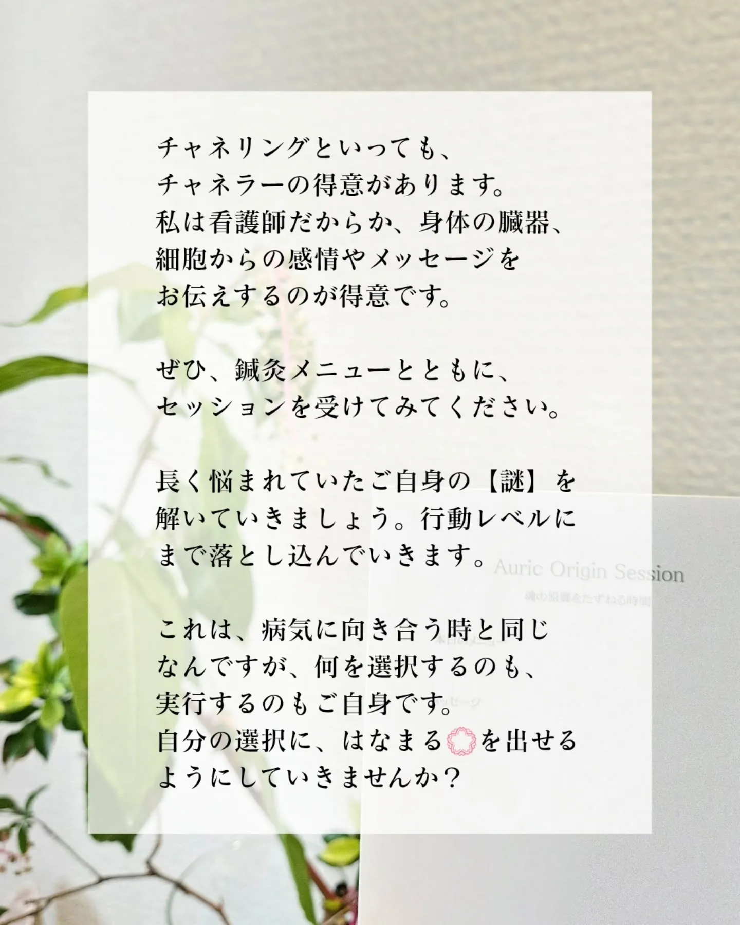 【鍼灸×チャネリングセッションの魅力】