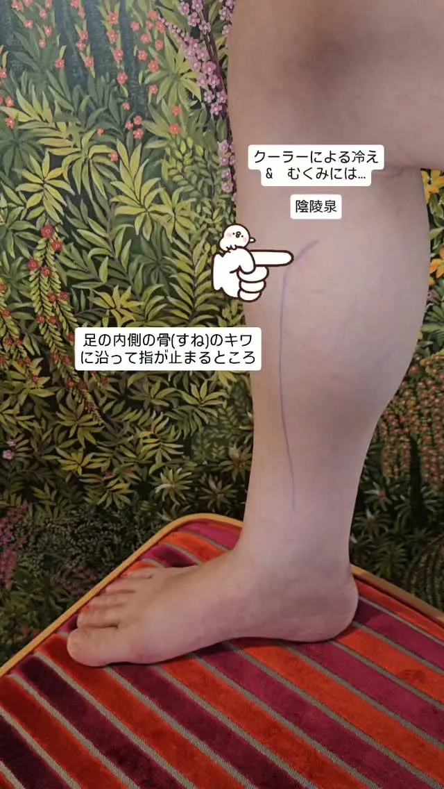 こんにちは！