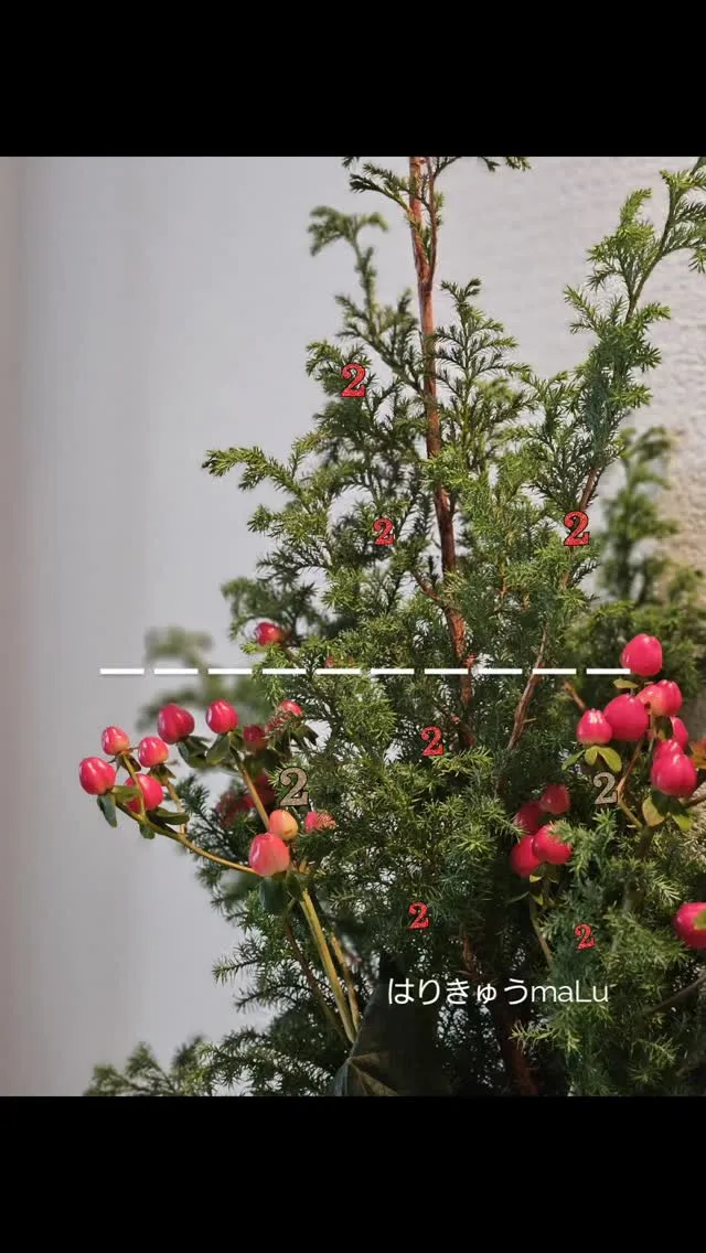 【✨2周年のご挨拶✨】