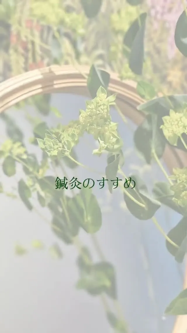 【鍼灸の魅力🪡】