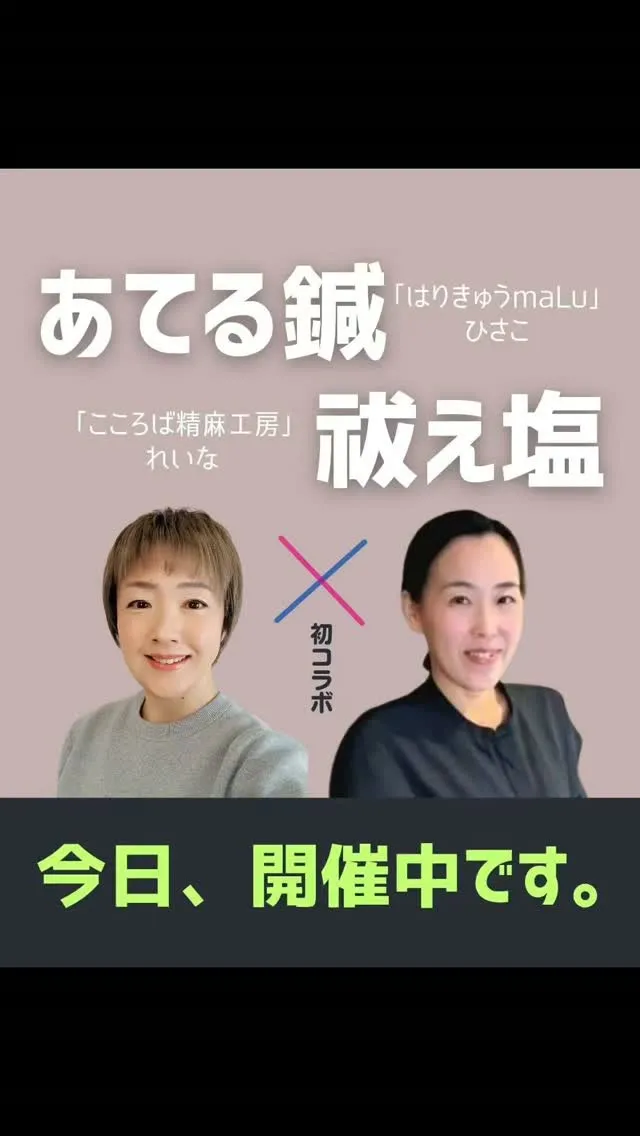 【本日からはじまります🪡🧂🎊】